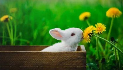 开云登录线上-从轮滑到速度滑冰 32岁的郭丹把不可能变成可能